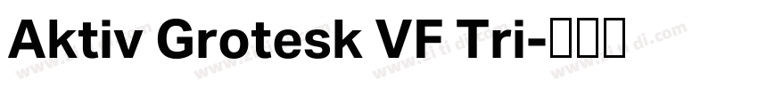 Aktiv Grotesk VF Tri字体转换